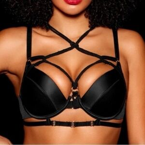 Honey Birdette Shibari Black Bra Size 34G